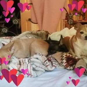 Meet your Posher, Sam